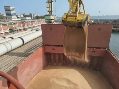M/V Transarctic — 밀 25,000 mt — 사진 2