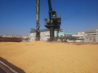 M/V Bahar — 옥수수 3,000 mt — 사진 2