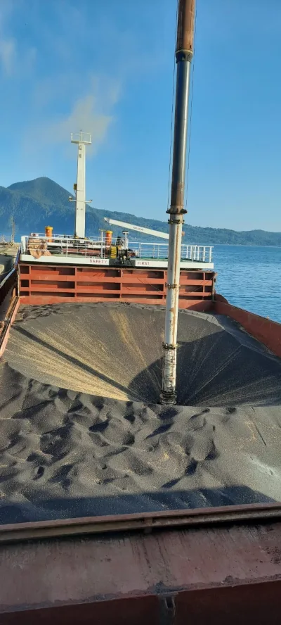Rapeseed poured into the hold through a telescopic loading spout, M/V Sukru Okan, to Achladi